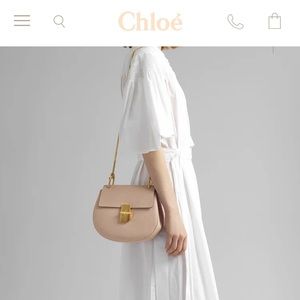 Chloe Drew Bag in Pink Cement